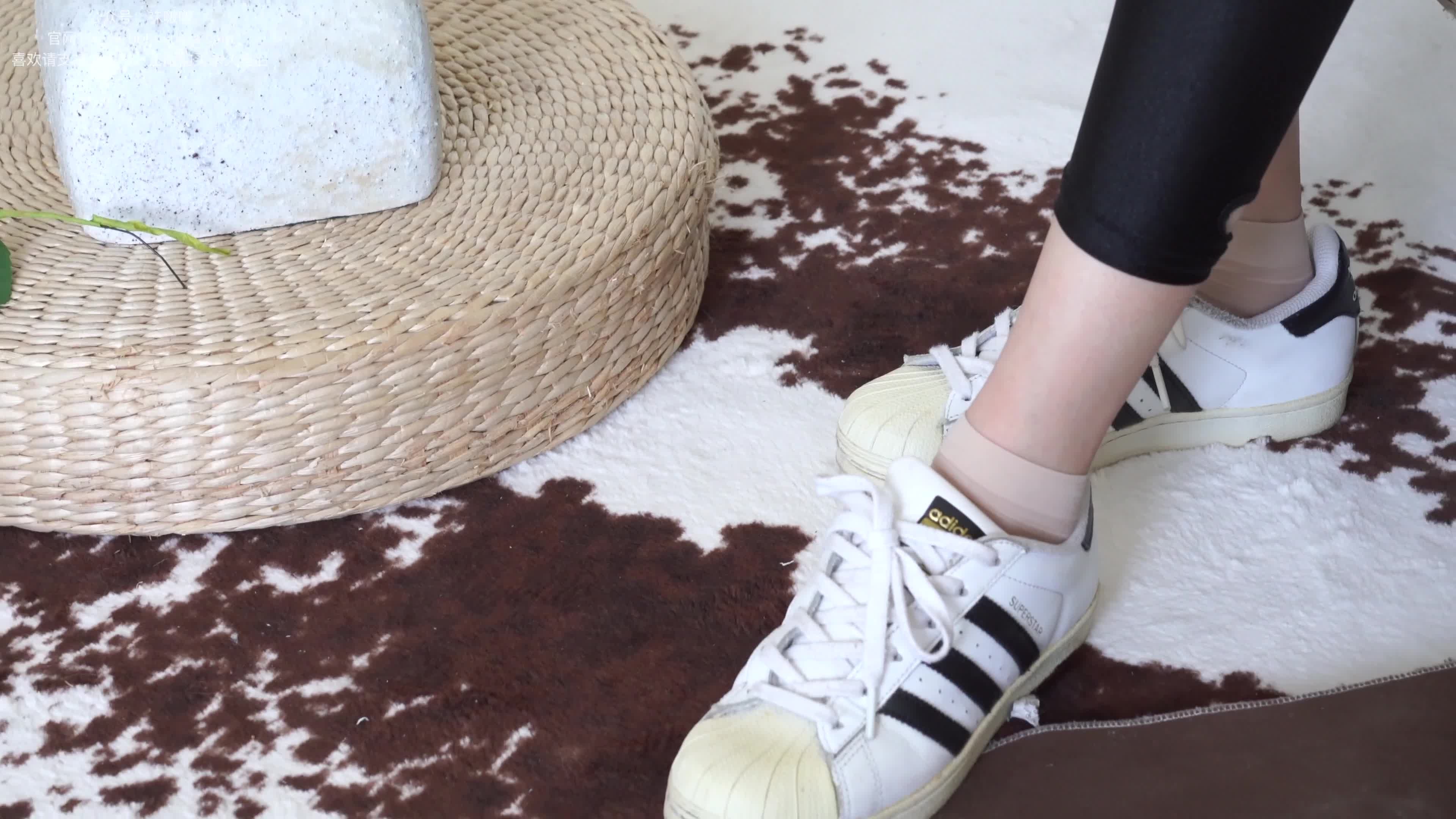 BoBoSocks袜啵啵_NO.044_稚予_贝壳头_匡威帆布鞋_短肉丝_154P_1V_5.39GB-丽丝屋