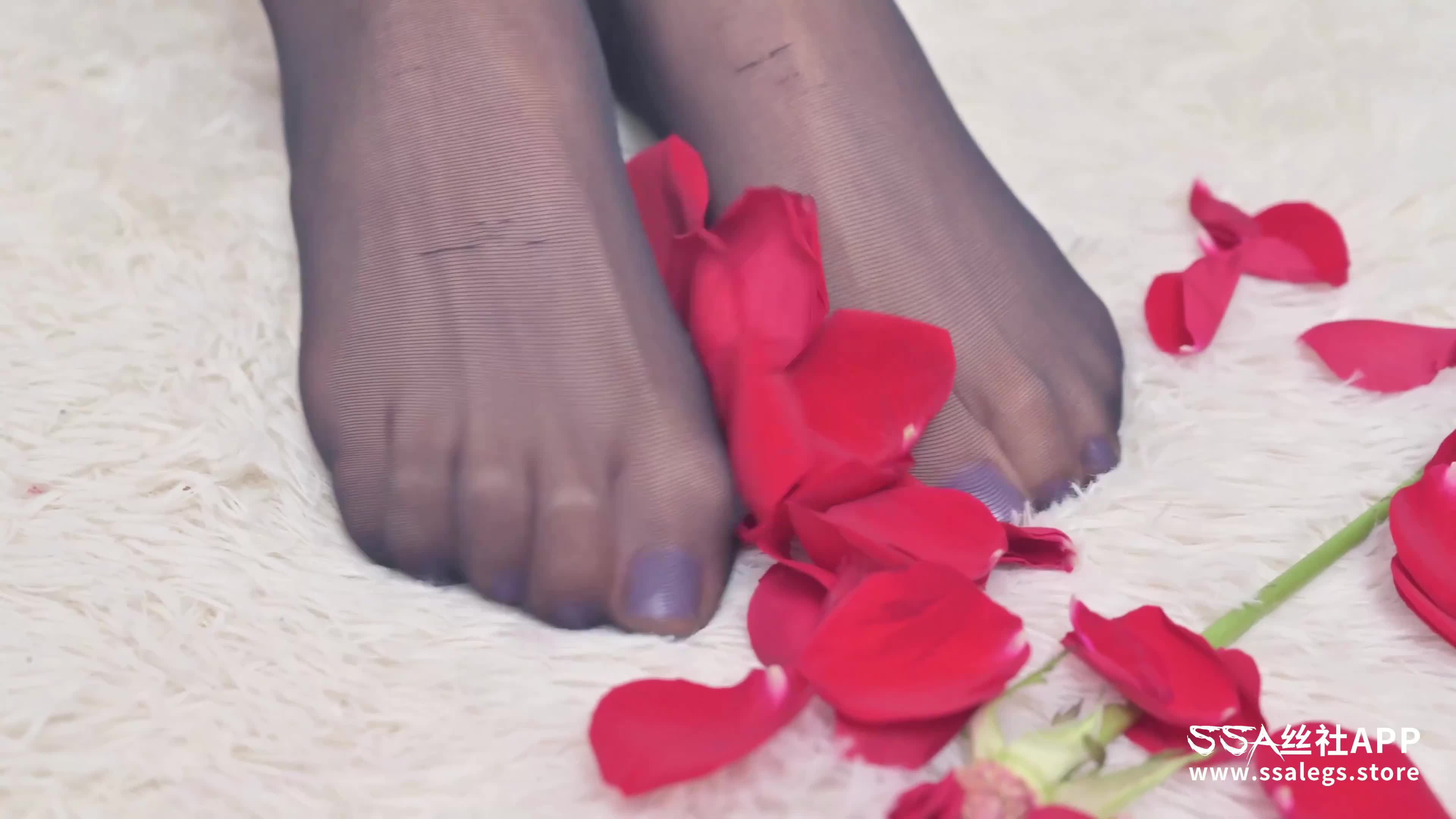 图片[3]-SSA丝社_短片_NO.103_君君_波兰MissO丝袜_1V_386.6M-丽丝屋