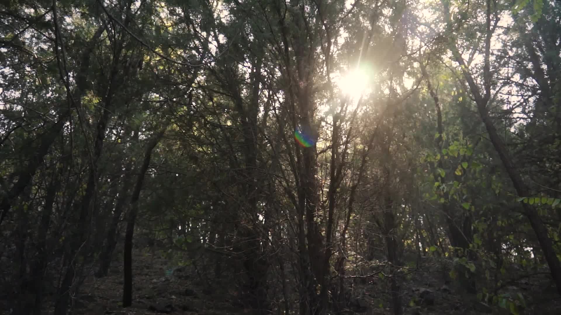 图片[2]-YALAYI雅拉伊_视频_2018.11.29_V005_深山原野_熏儿_1V_150M-丽丝屋