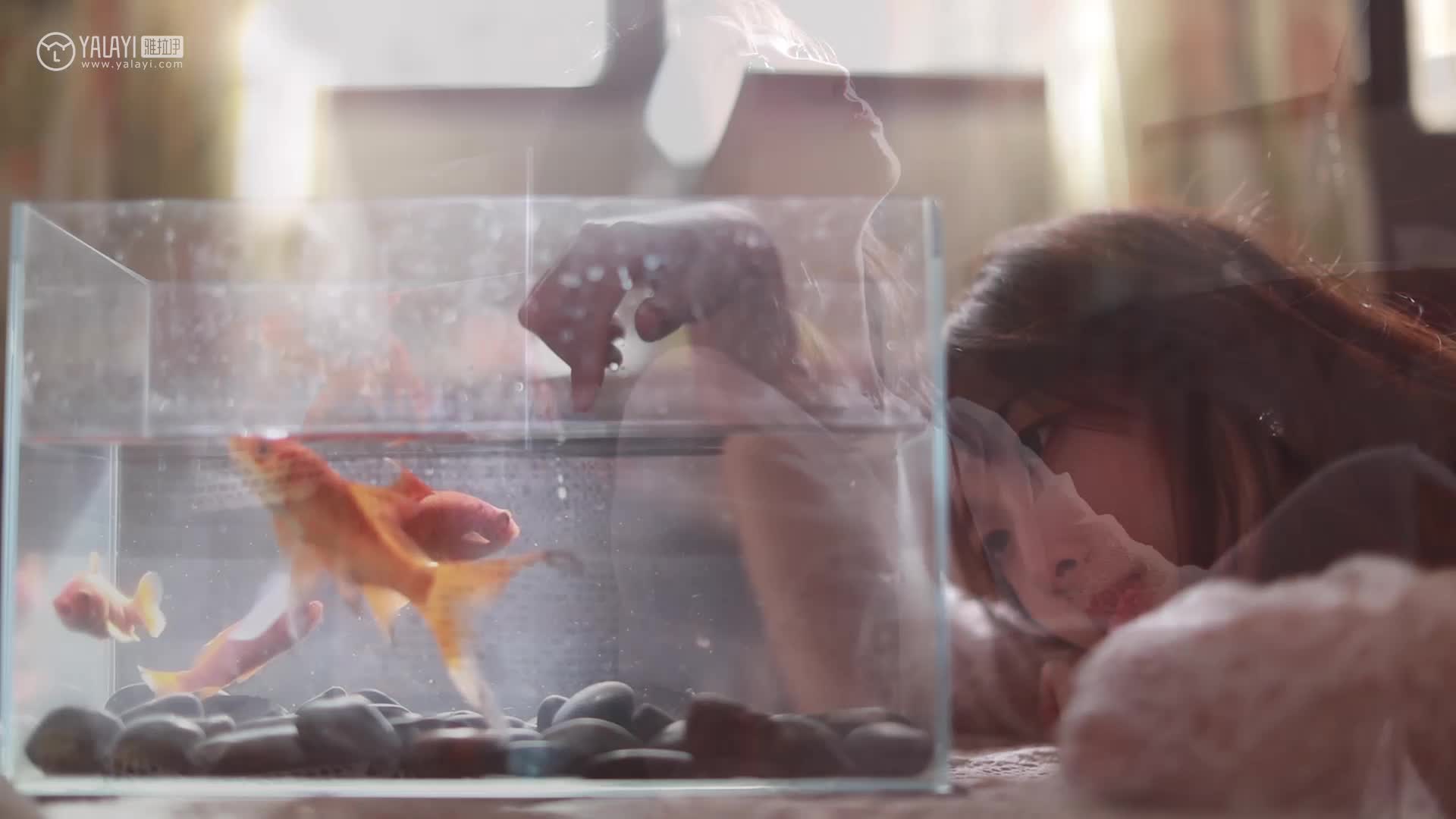 YALAYI雅拉伊_视频_2019.12.27_V100_寂寞心房_佳佳_1V_158M-丽丝屋