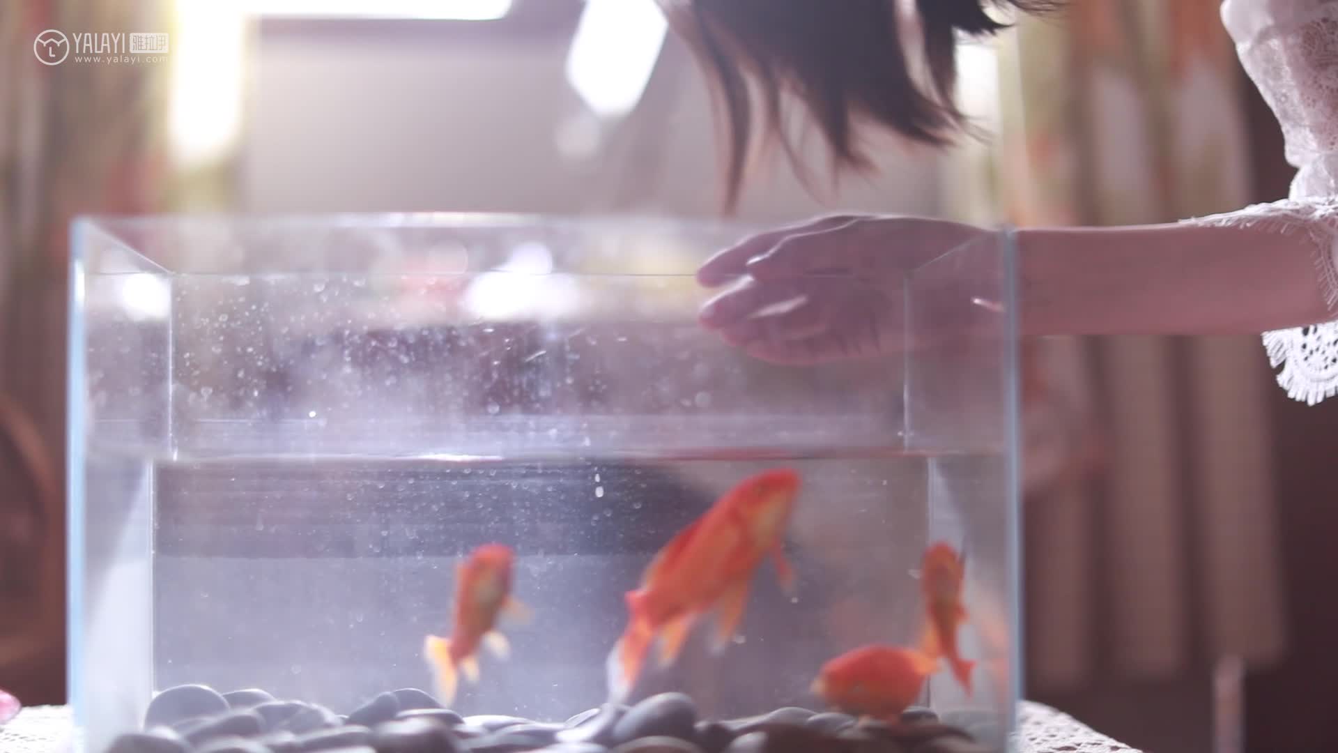 图片[2]-YALAYI雅拉伊_视频_2019.12.27_V100_寂寞心房_佳佳_1V_158M-丽丝屋