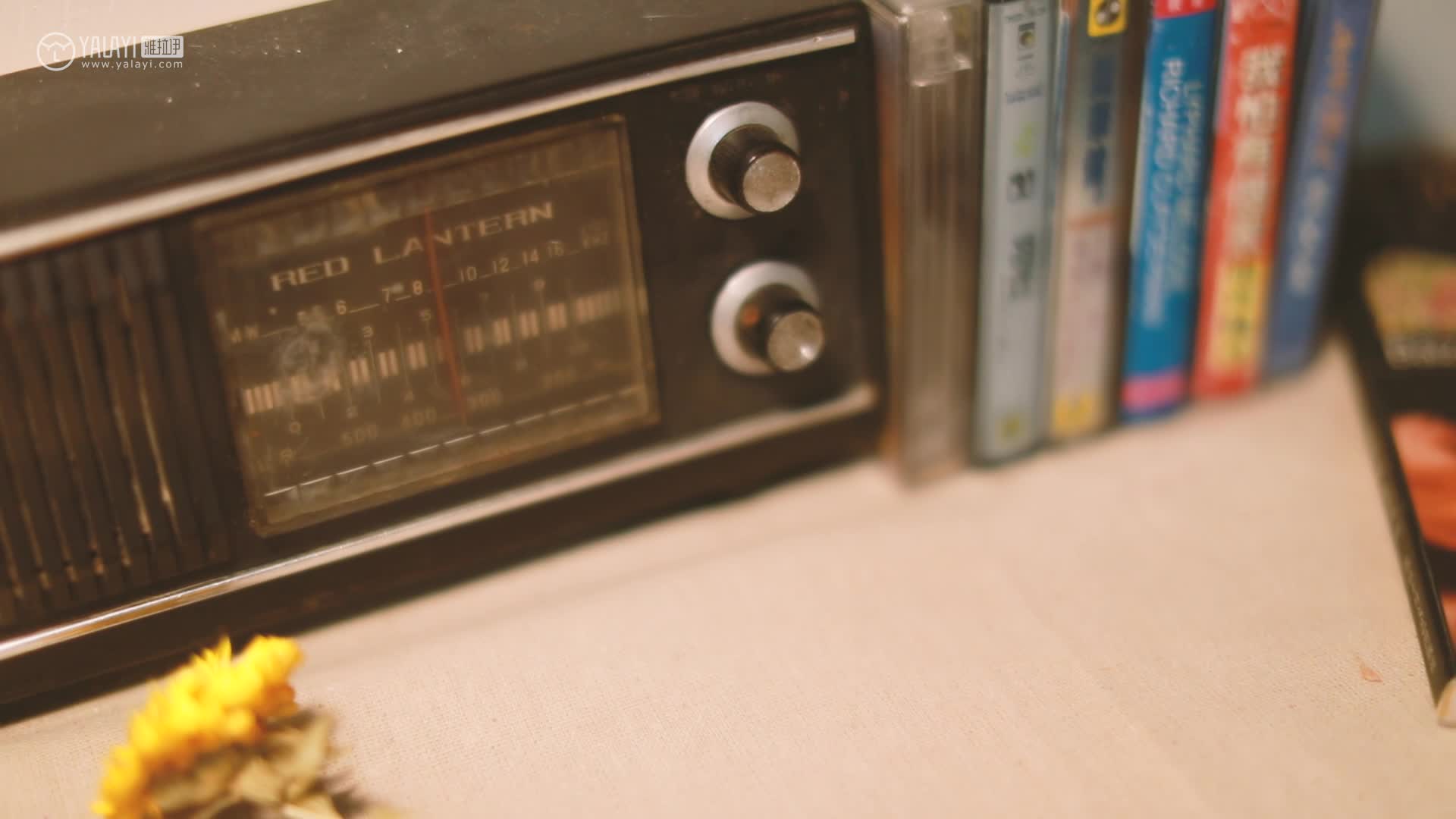 YALAYI雅拉伊_视频_2020.10.24_V149_心动_苍儿_1V_106MB-丽丝屋