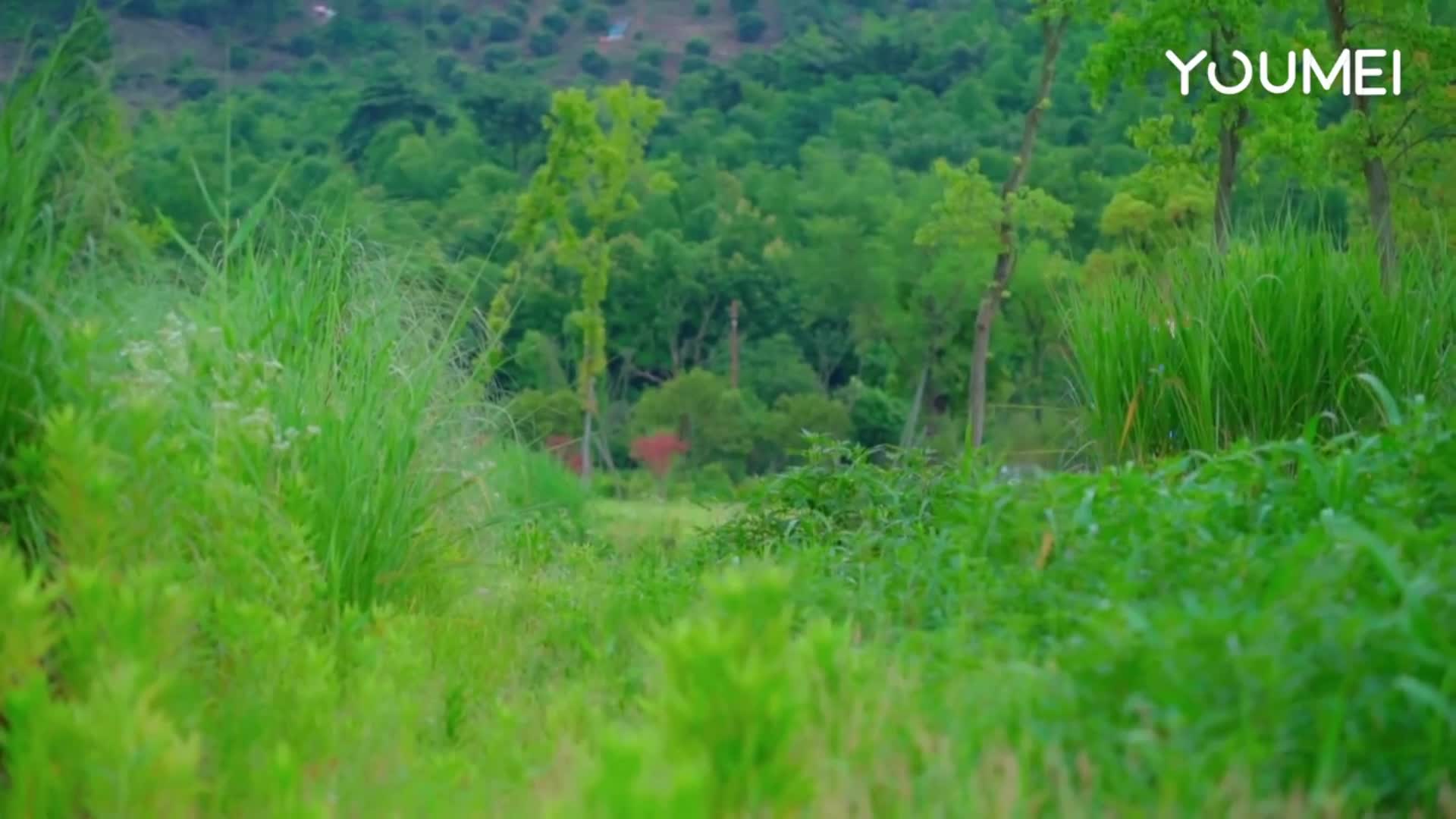 图片[5]-YouMei_尤美视频_2018.06.25_No.023_铁血军团の尤物_易阳-丽丝屋