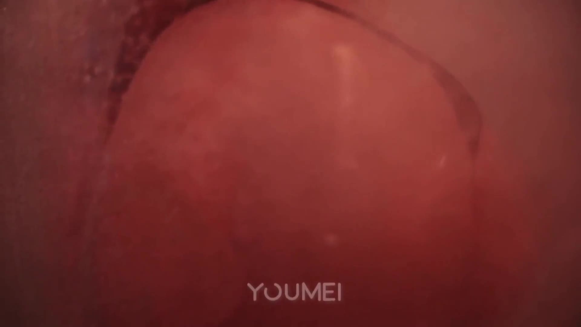 图片[4]-YouMei尤美_视频_2018.11.22_NO.124_欲望人妻_陈圆圆_1V_142M-丽丝屋