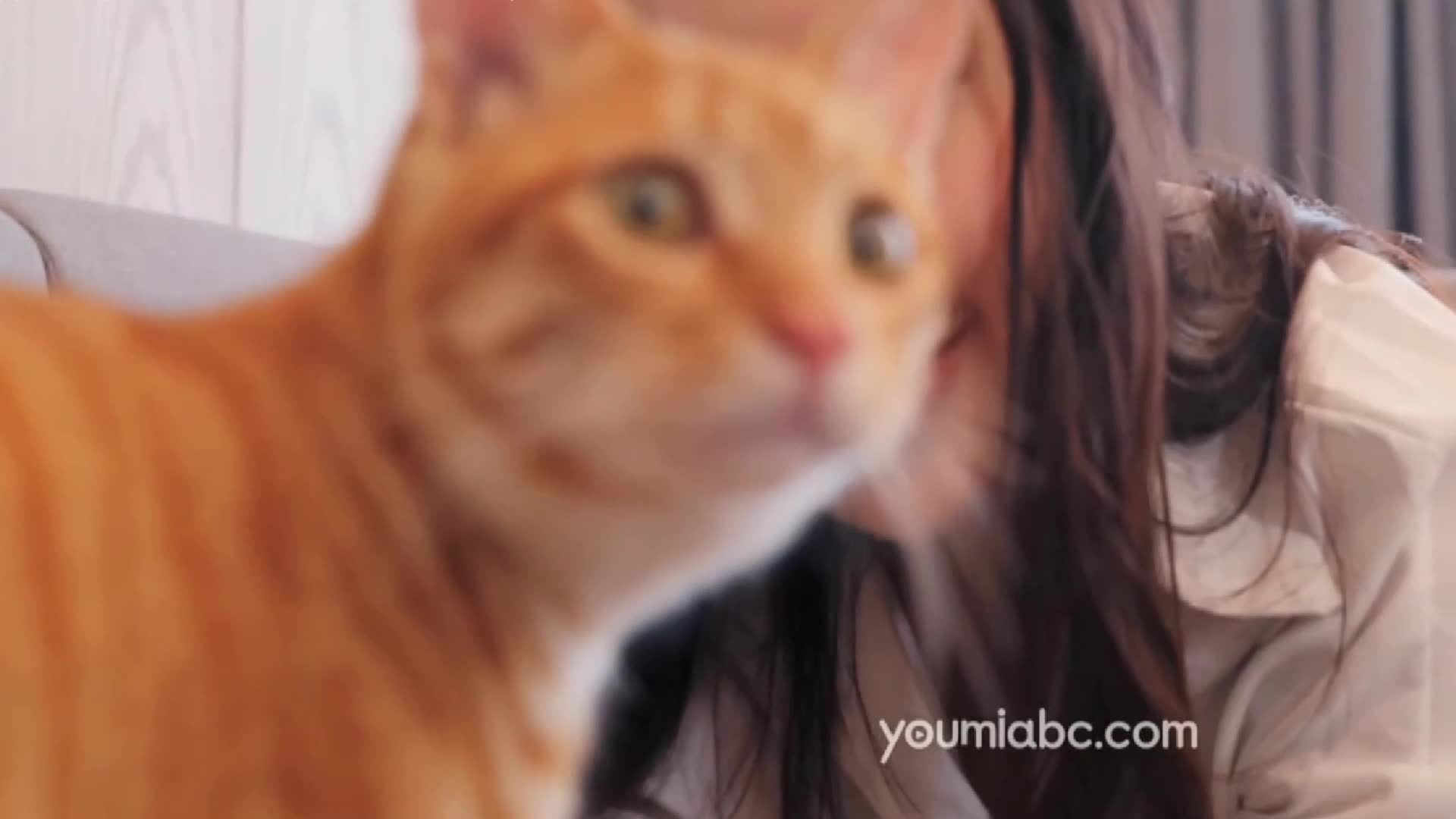 图片[5]-YouMei尤美_视频_2019.08.13_NO.259_小仙の喵时光_小仙_1V_158MB-丽丝屋