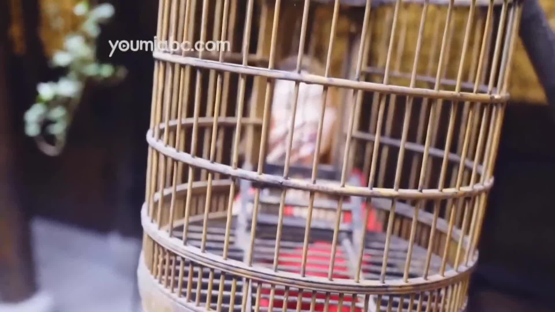 YouMei尤美_视频_2019.08.29_NO.305_深宅艳遇_Jessica_1V_139MB-丽丝屋