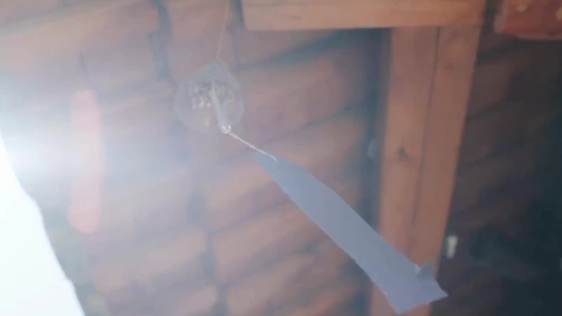 图片[4]-YouMei尤美_视频_2019.09.17_NO.347_去年夏天_绯月樱_Cherry_1V_160MB-丽丝屋