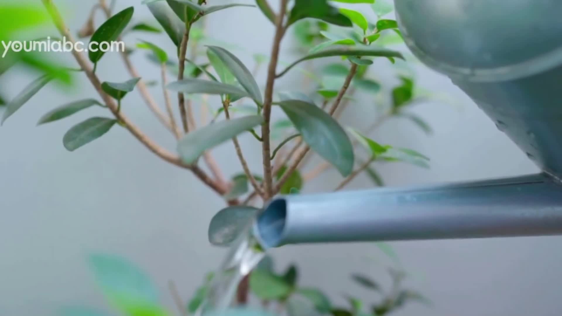 YouMi尤蜜_视频_2019.11.14_NO.475_情欲美妇_陈圆圆_1V_138MB-丽丝屋