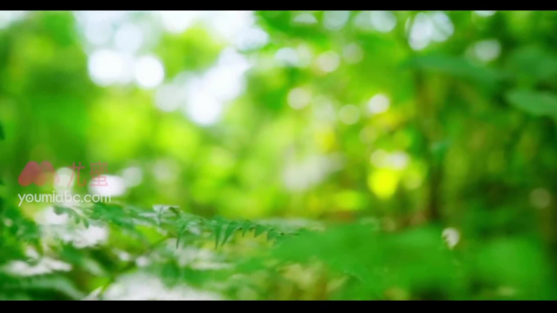 YouMi尤蜜_视频_2020.12.01_NO.761_奇遇之森_优子_1V_187MB-丽丝屋