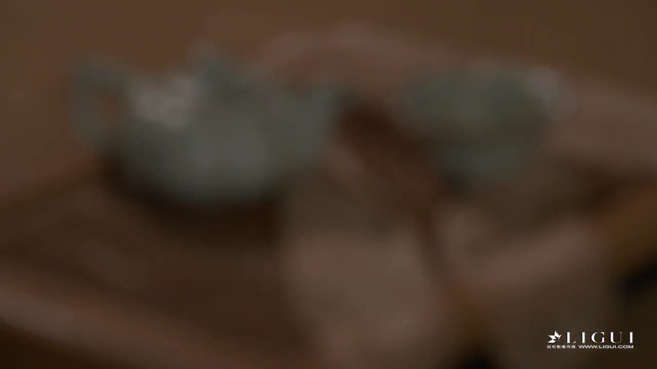 Ligui丽柜_HD视频_2019.02.07_丽柜一品之敏儿_1V_116MB-丽丝屋