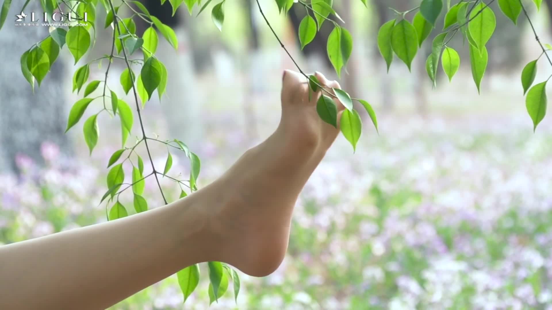 图片[5]-Ligui丽柜_HD视频_2020.09.22_绿野伊莲_凉儿_1V_247MB-丽丝屋