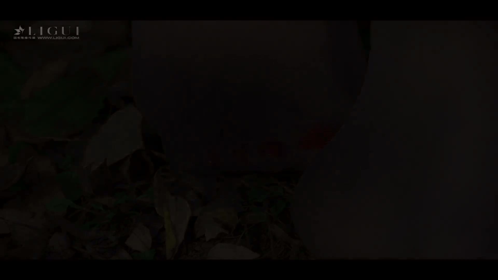 Ligui丽柜_高清视频_2017.11.09_悠悠_1V_134M-丽丝屋