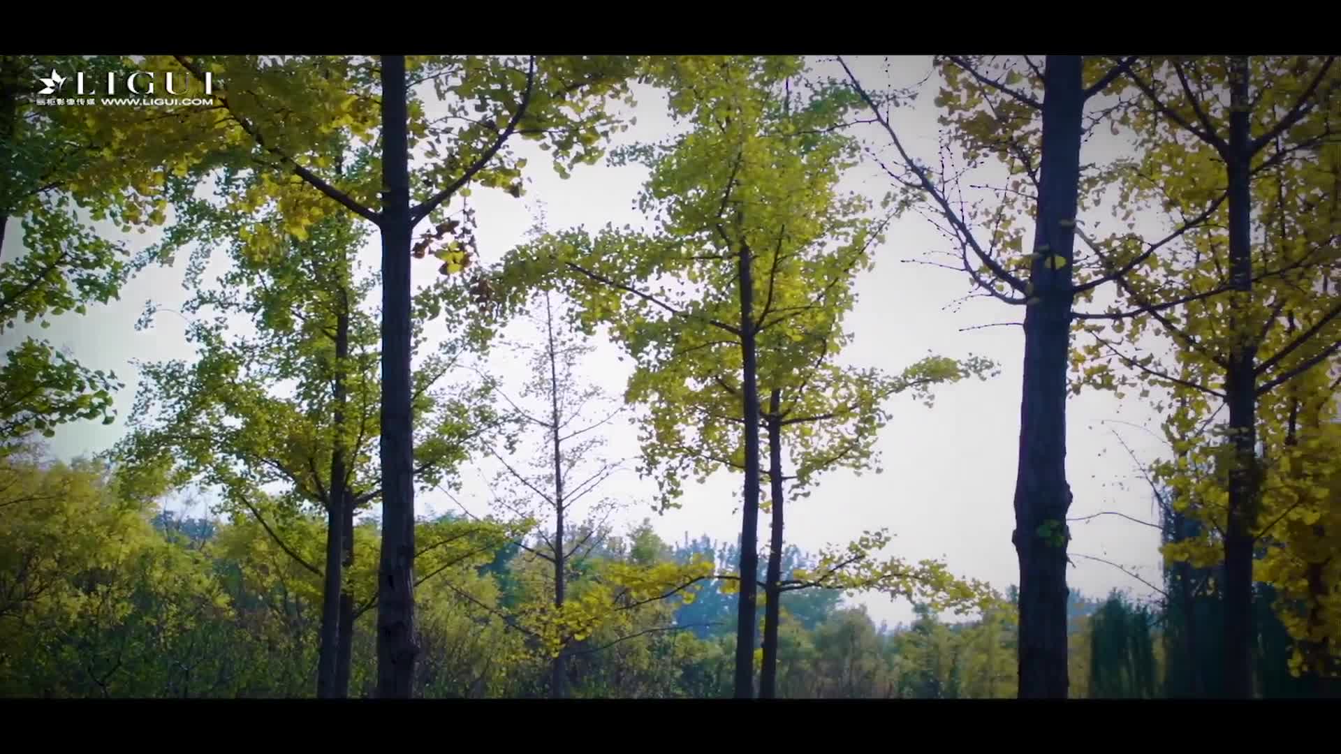 图片[2]-Ligui丽柜_高清视频_2017.11.09_悠悠_1V_134M-丽丝屋