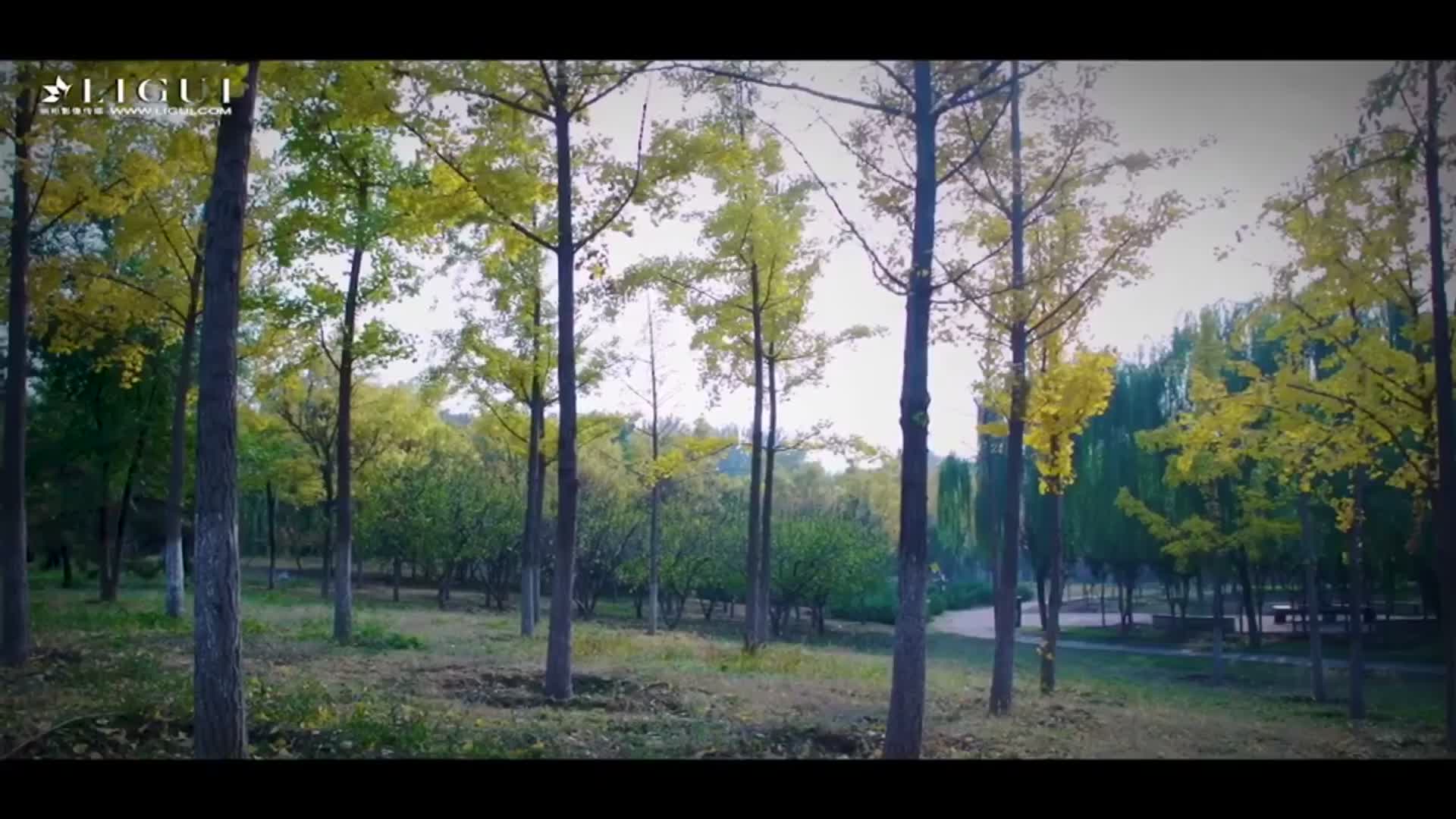 Ligui丽柜_高清视频_2017.11.09_金风玉露丝高气爽_悠悠_1V_265M-丽丝屋