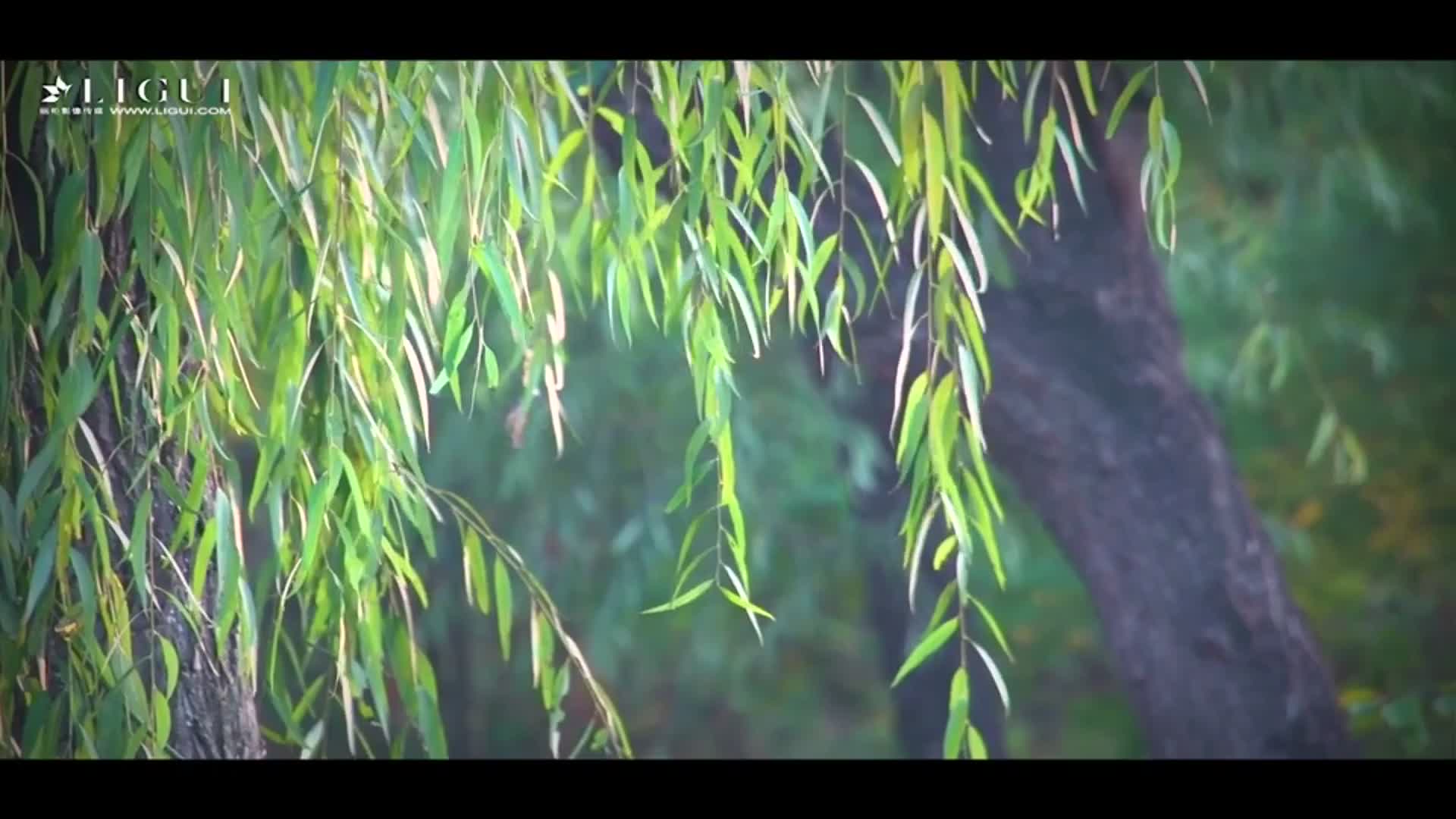 图片[3]-Ligui丽柜_高清视频_2017.11.09_金风玉露丝高气爽_悠悠_1V_265M-丽丝屋