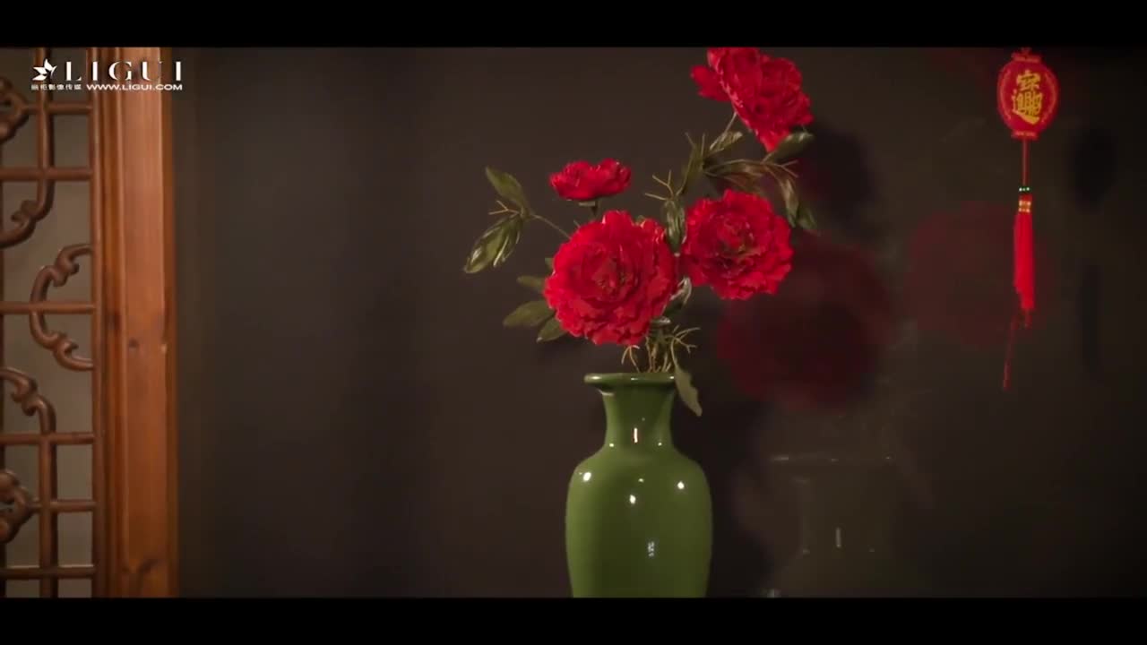 Ligui丽柜_高清视频_2018.02.13_新春纳福饺子酒_雪糕_1V_63M-丽丝屋