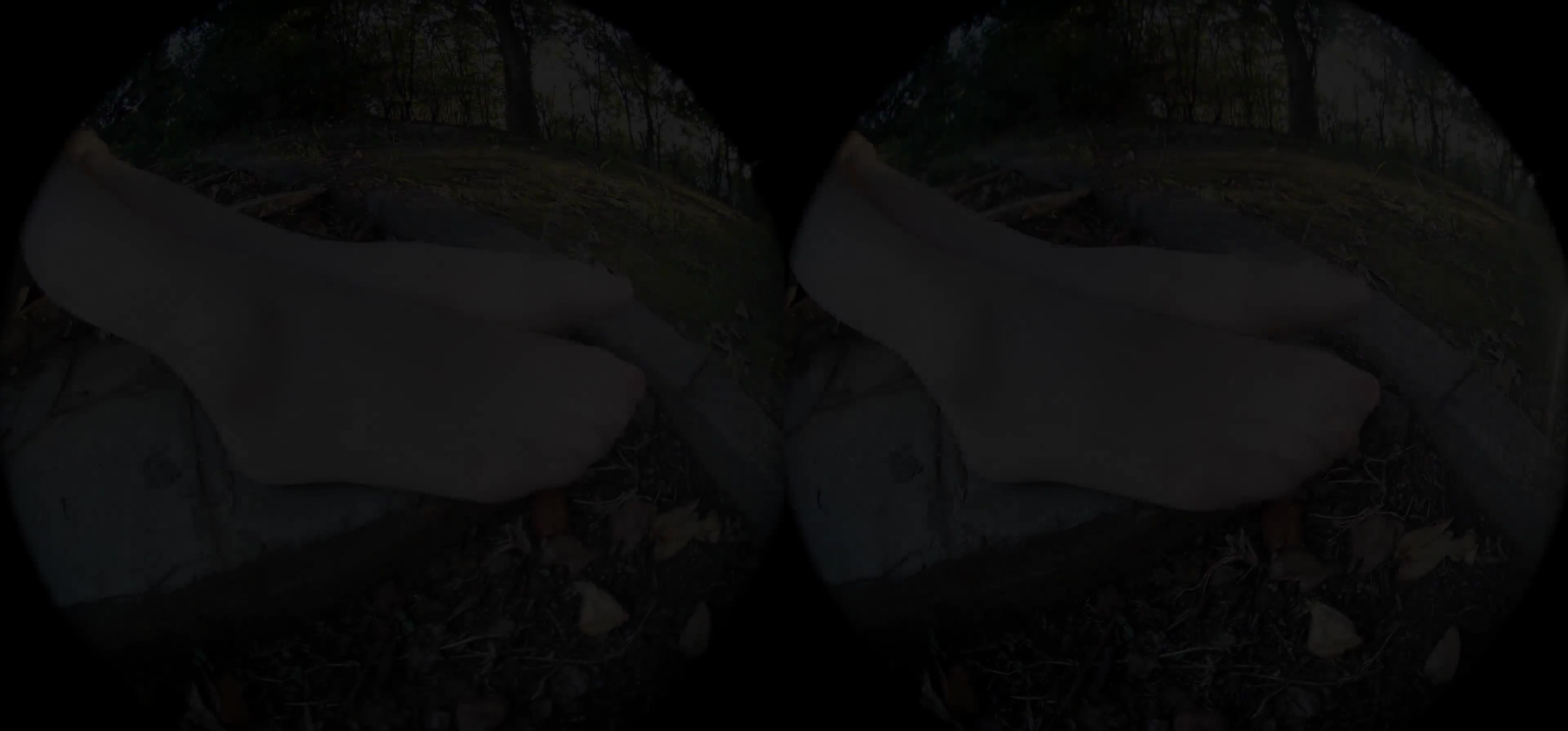 图片[4]-Ligui丽柜_高清视频_2019.11.05_野外遇矫丝_虫虫_1V_513M-丽丝屋