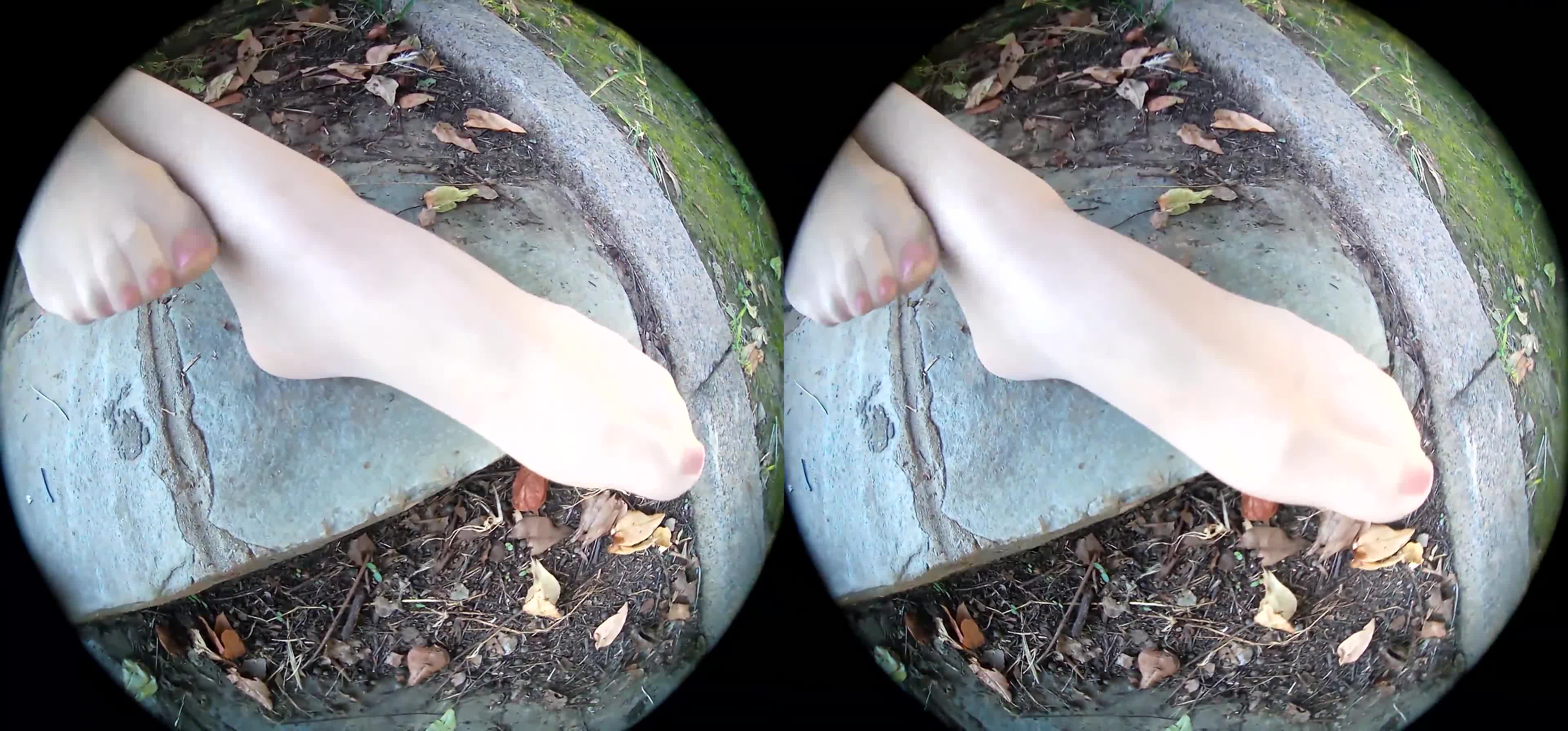 图片[5]-Ligui丽柜_高清视频_2019.11.05_野外遇矫丝_虫虫_1V_513M-丽丝屋